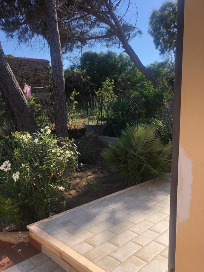 Civico34 House 4 - I Giardini Dell'Ancora Villa Stintino Ngoại thất bức ảnh