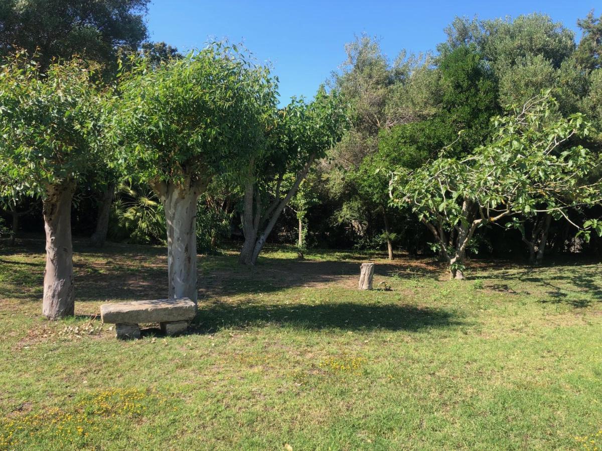 Civico34 House 4 - I Giardini Dell'Ancora Villa Stintino Ngoại thất bức ảnh